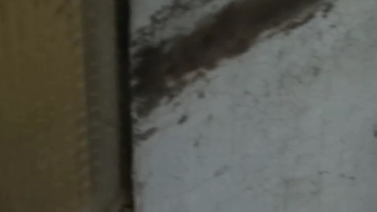 2020-09-12 Federhall 1 (Spieluhr/Tape, elektro akustisch, live)